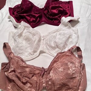 Elegant Elomi Lace Women's Intimates Set - Burgundy, White, and Tan